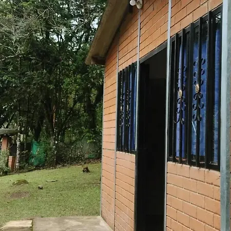 Sapiens House