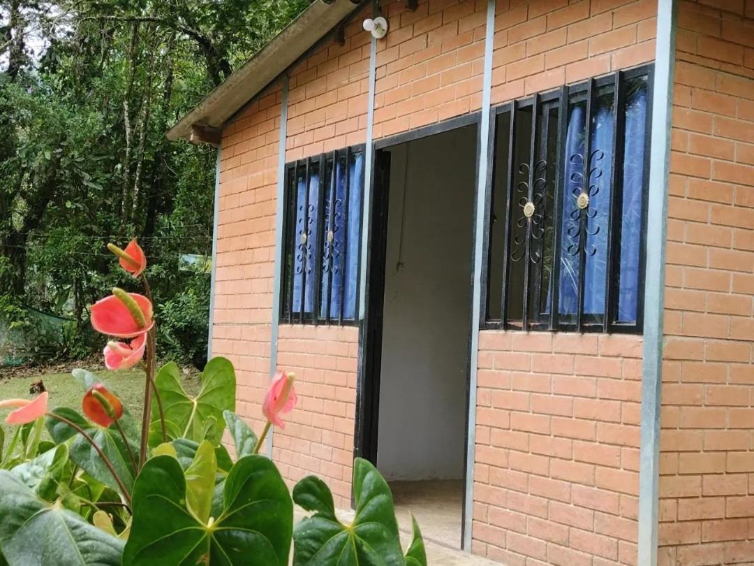 Country house Sapiens House