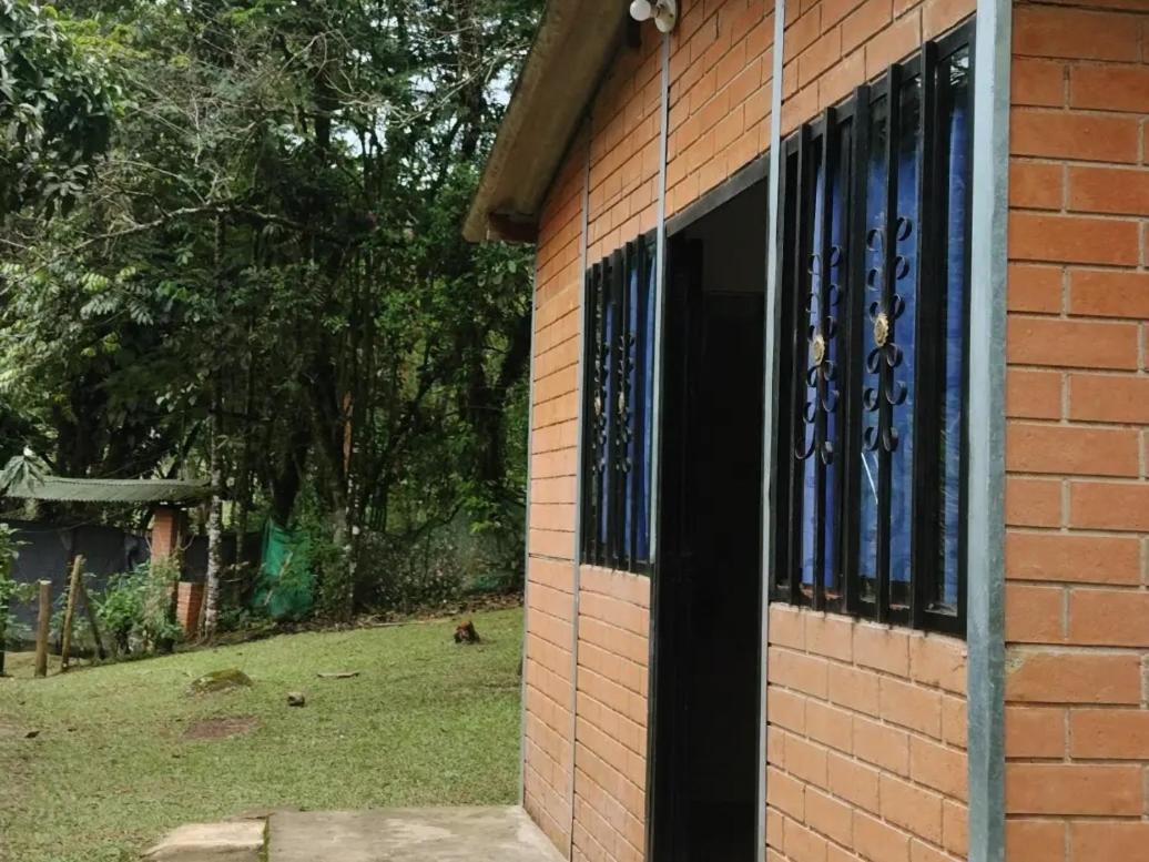 Sapiens House